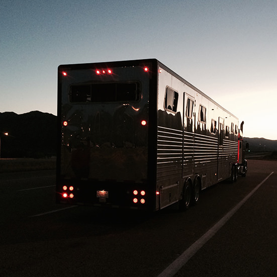 about-edmonton-to-california-horse-transport